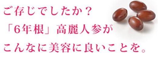 ����l�Q��5000�������̓R�`��