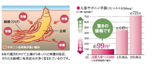 ����l�Q��5000�������̓R�`��